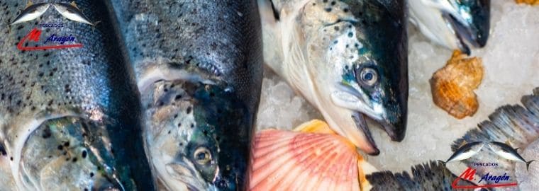 La trazabilidad del pescado congelado - Disanfrio